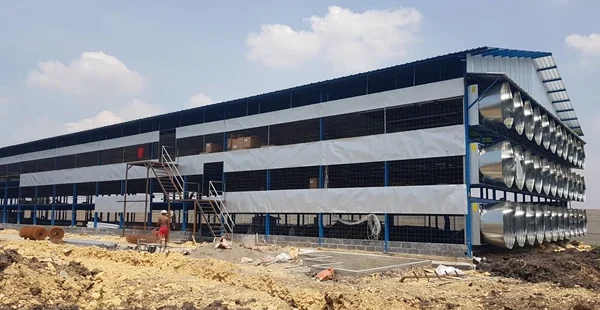 Konstruksi Efisien Kandang Ayam Close House